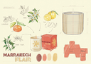 Marrakech Flair.webp