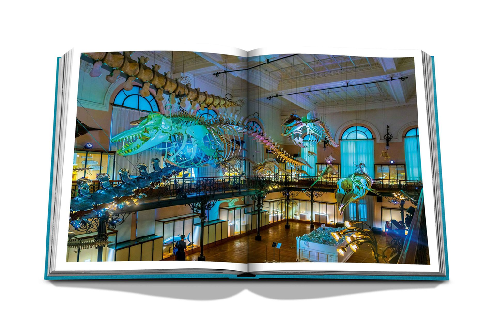 MonteCarlo_Spread_8.webp